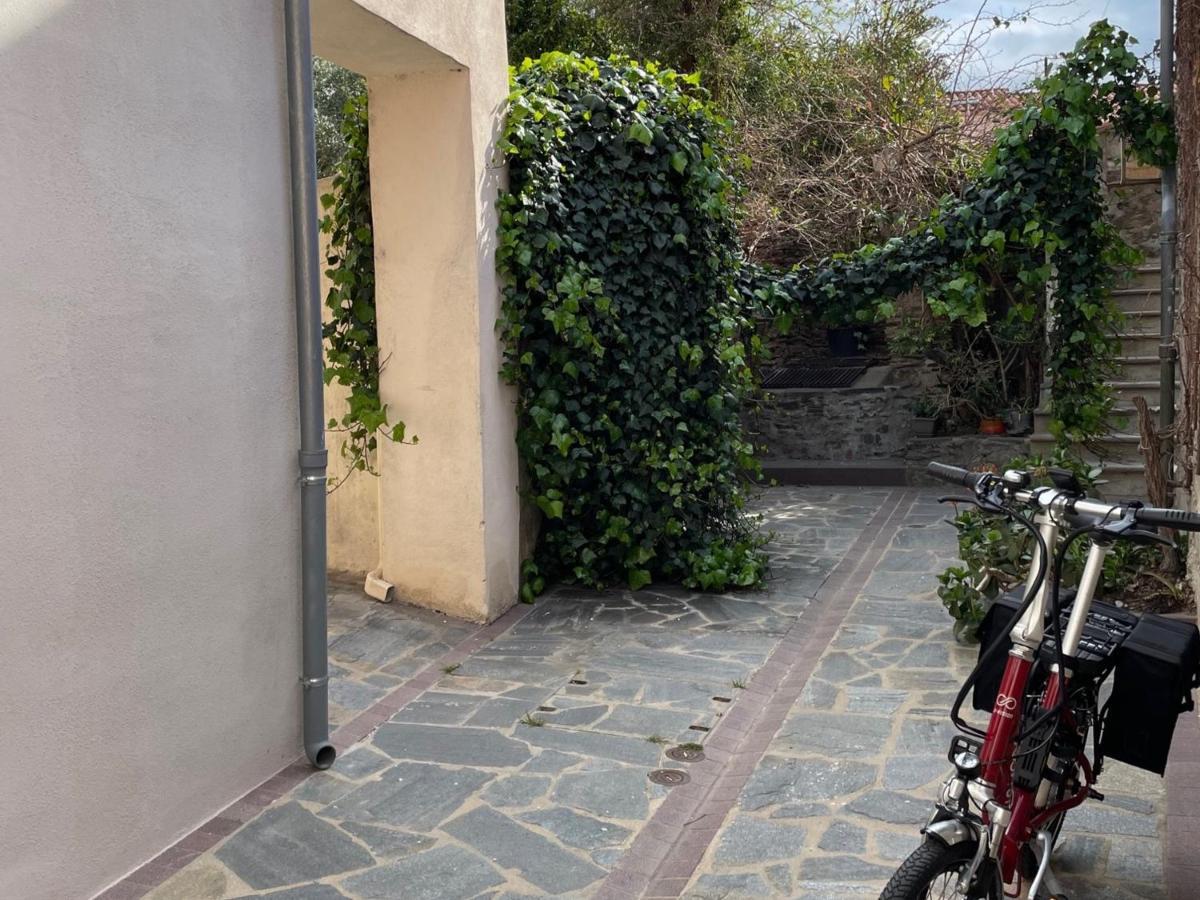 Studio Cabine A Collioure, A 100M De La Plage Et Des Commerces - Fr-1-309-153 Exterior photo